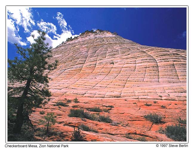 Checkerboard Mesa, Zion National Park, Utah