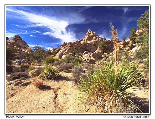 Sunset at Joshua Tree National Park, California