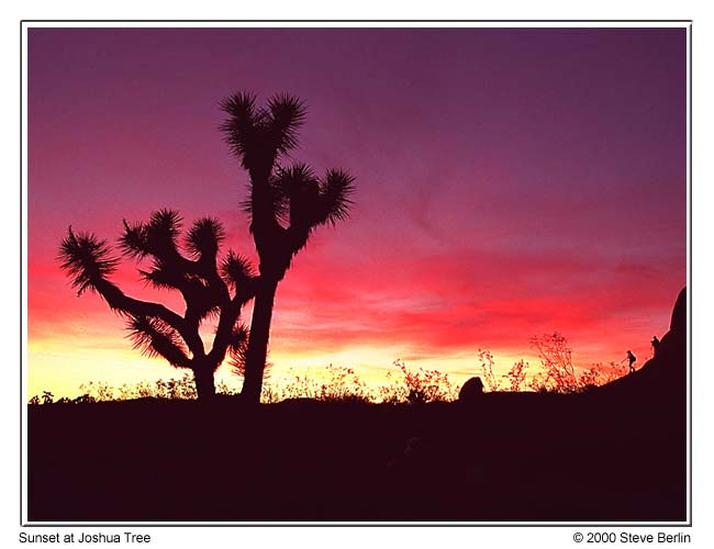Sunset at Joshua Tree National Park, California