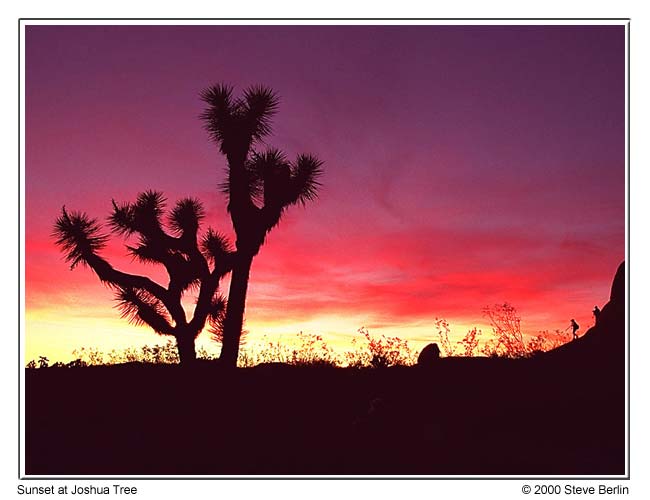 Sunset at Joshua Tree National Park, California