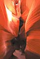 Fractal Topology (Antelope-Corkscrew Canyon, Lake Powell, Utah