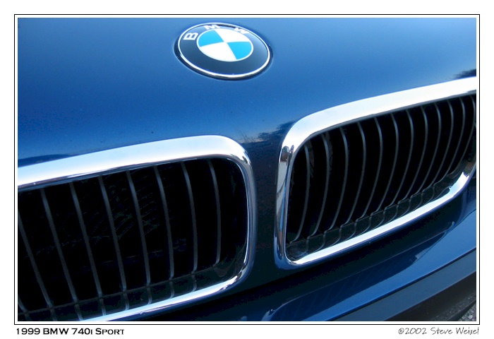 Kidney Grille