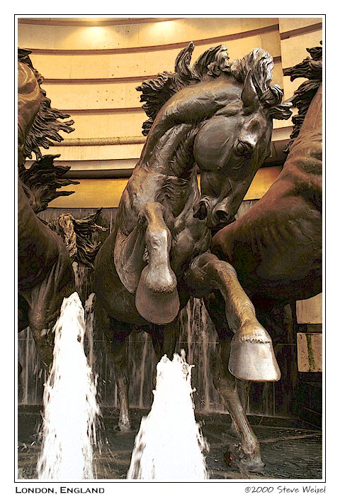 Frozen Horses