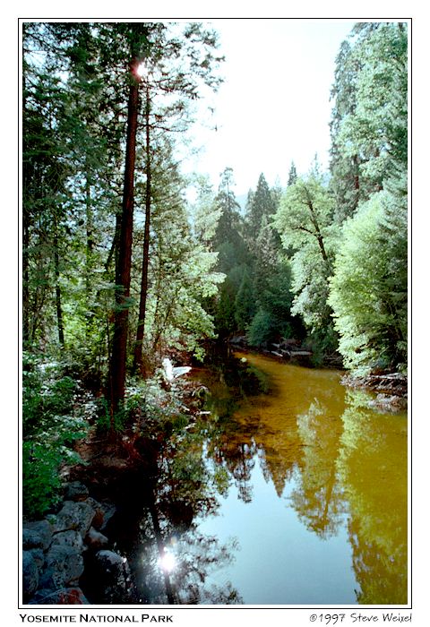 Mirror Stream