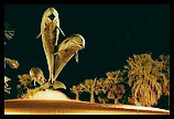 Dolphin Fountain